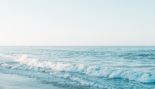 ブログを今後更新して参ります。